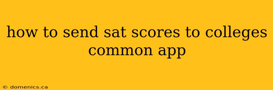 how to send sat scores to colleges common app