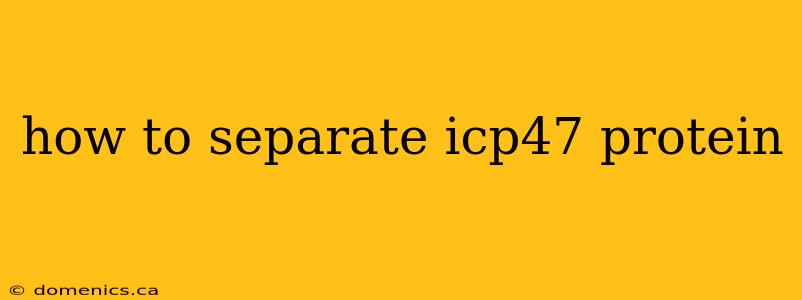 how to separate icp47 protein