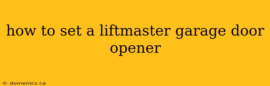 how to set a liftmaster garage door opener