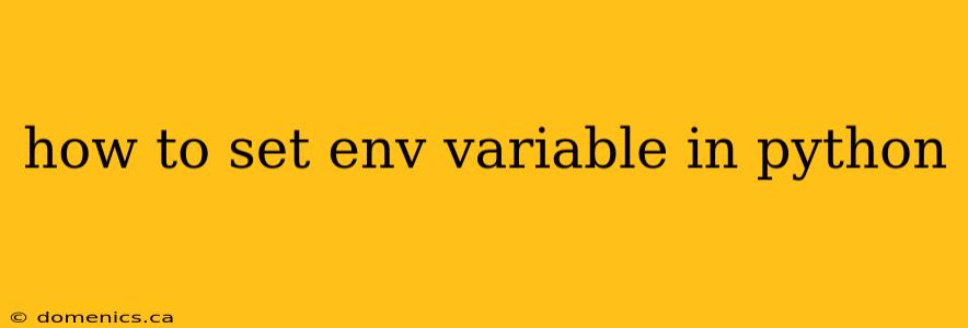 how to set env variable in python