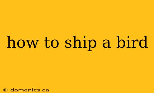 how to ship a bird