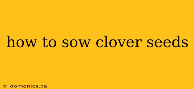 how to sow clover seeds