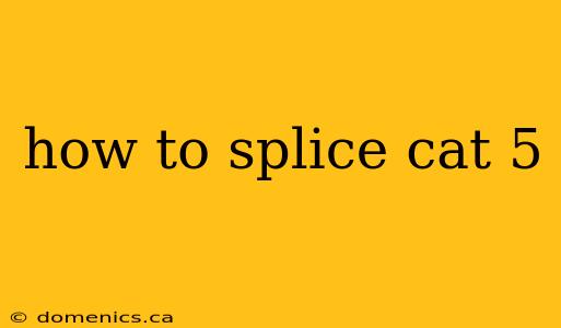 how to splice cat 5