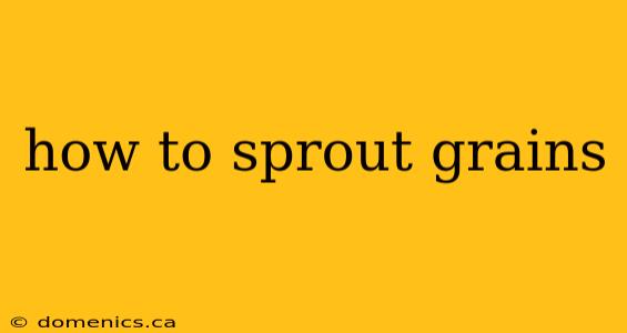 how to sprout grains