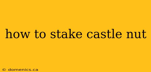 how to stake castle nut