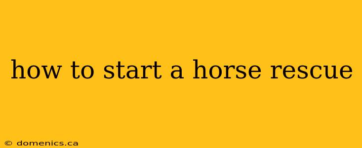 how to start a horse rescue