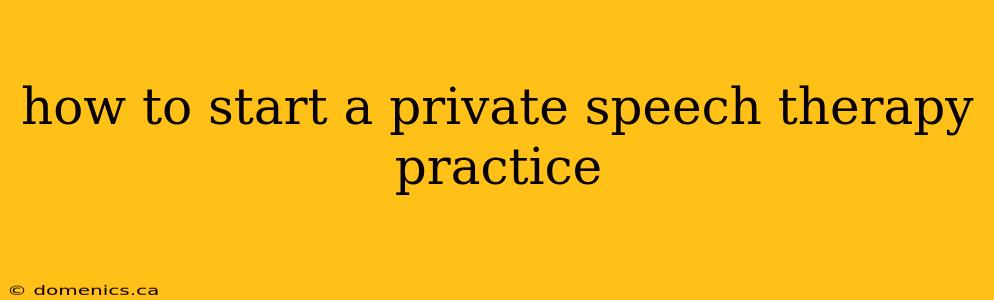 how to start a private speech therapy practice