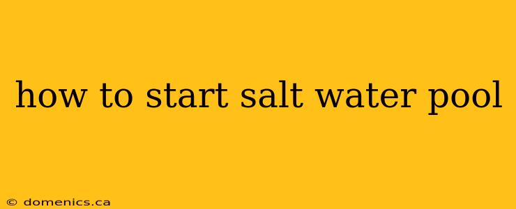 how to start salt water pool