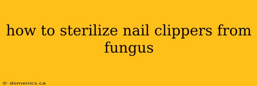 how to sterilize nail clippers from fungus