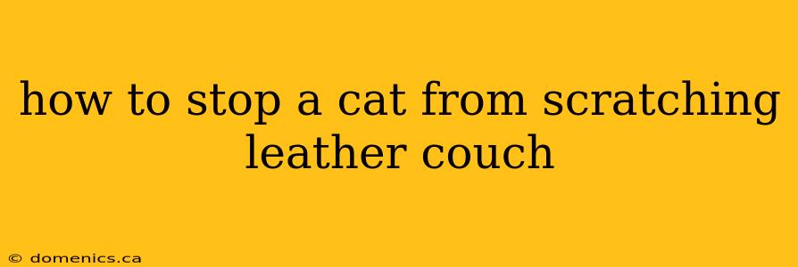 how to stop a cat from scratching leather couch