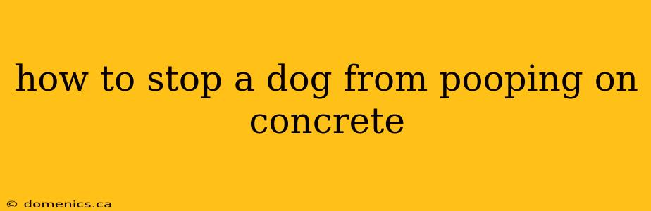 how to stop a dog from pooping on concrete