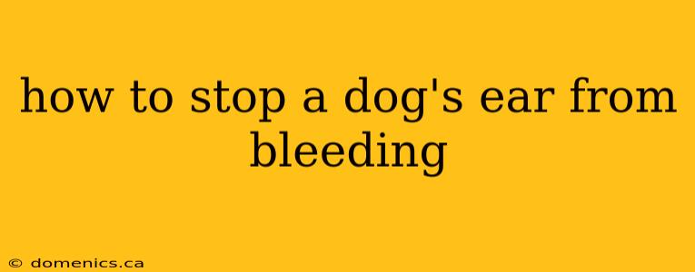 how to stop a dog's ear from bleeding