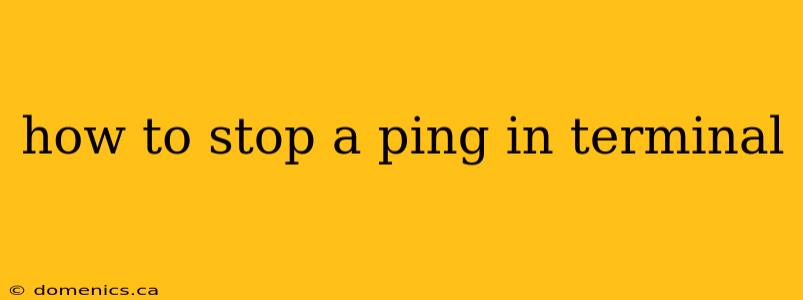 how to stop a ping in terminal