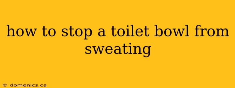 how to stop a toilet bowl from sweating