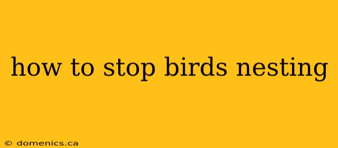 how to stop birds nesting