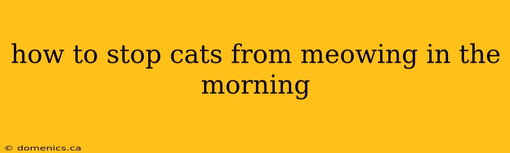 how to stop cats from meowing in the morning