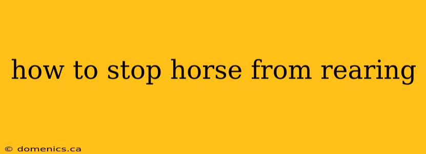 how to stop horse from rearing