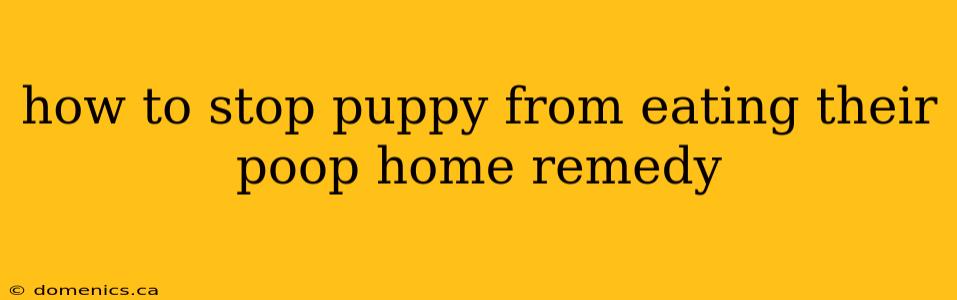 how to stop puppy from eating their poop home remedy