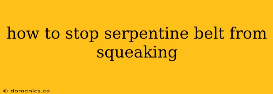 how to stop serpentine belt from squeaking