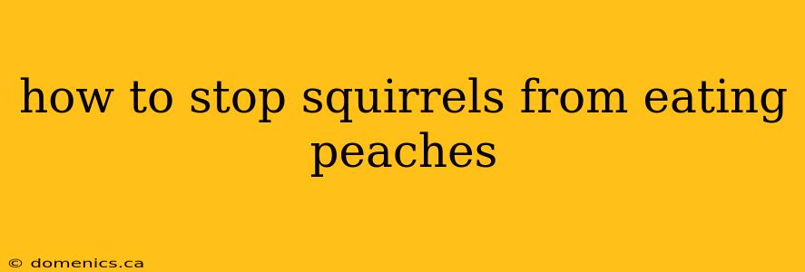 how to stop squirrels from eating peaches