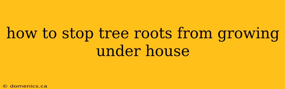 how to stop tree roots from growing under house