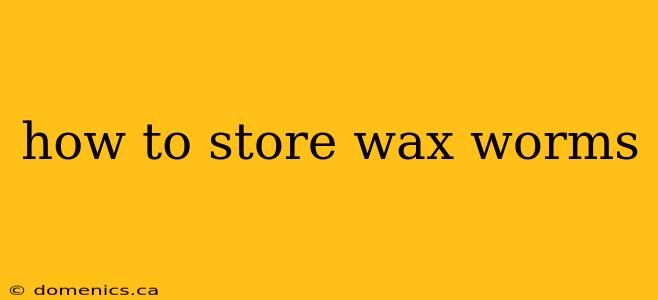 how to store wax worms