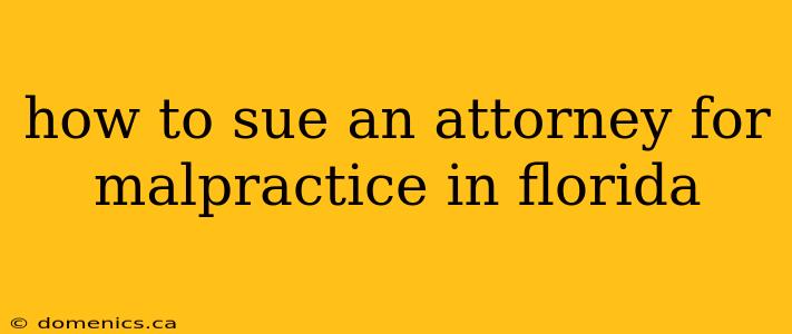 how to sue an attorney for malpractice in florida