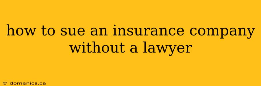 how to sue an insurance company without a lawyer