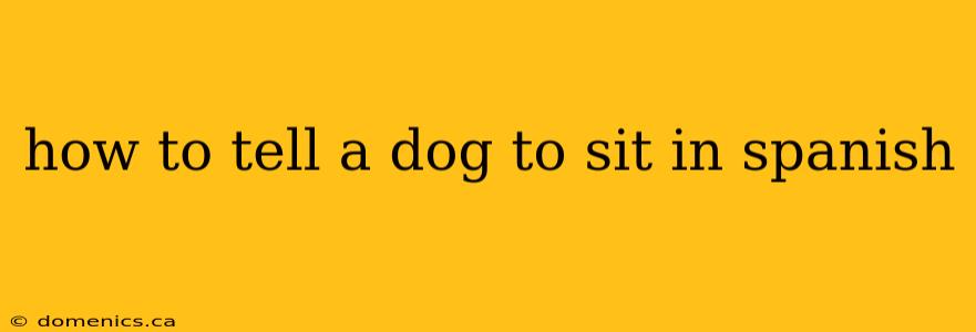 how to tell a dog to sit in spanish