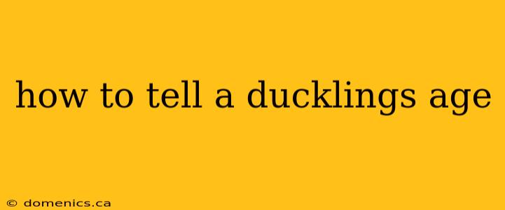 how to tell a ducklings age