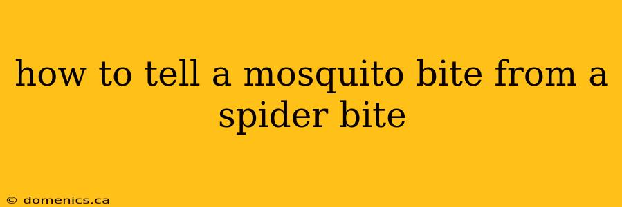 how to tell a mosquito bite from a spider bite