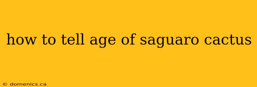 how to tell age of saguaro cactus