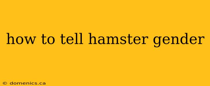 how to tell hamster gender