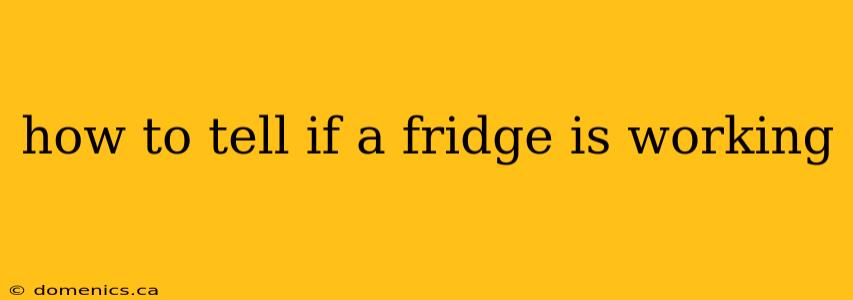 how to tell if a fridge is working