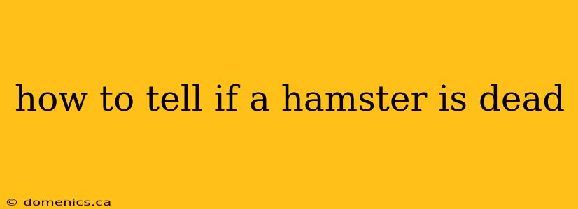how to tell if a hamster is dead