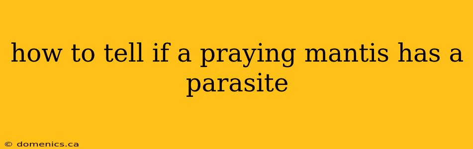 how to tell if a praying mantis has a parasite