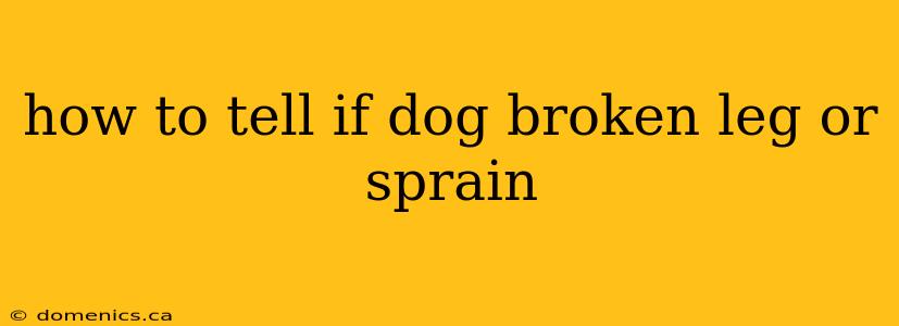 how to tell if dog broken leg or sprain