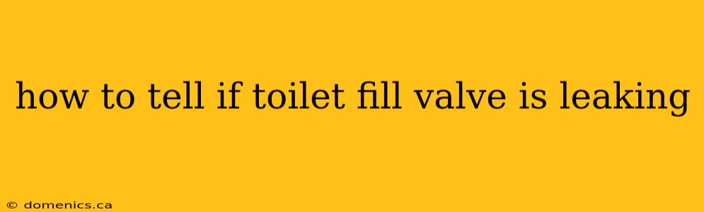 how to tell if toilet fill valve is leaking