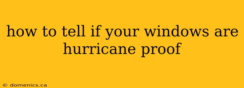 how to tell if your windows are hurricane proof