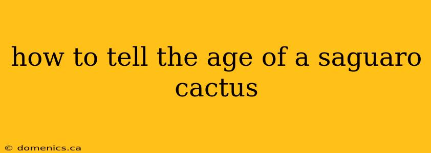 how to tell the age of a saguaro cactus