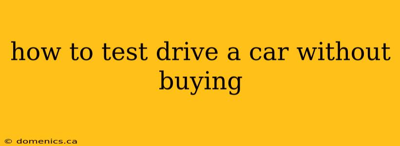 how to test drive a car without buying