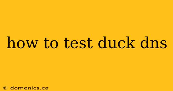 how to test duck dns