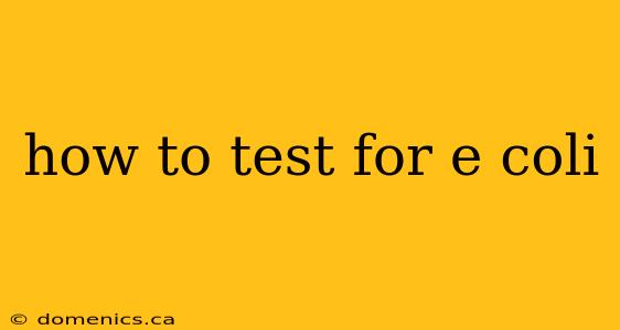 how to test for e coli