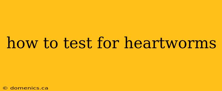 how to test for heartworms