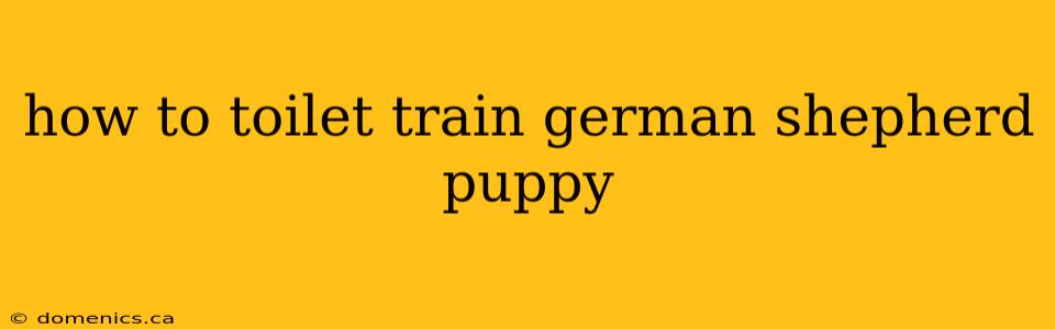 how to toilet train german shepherd puppy