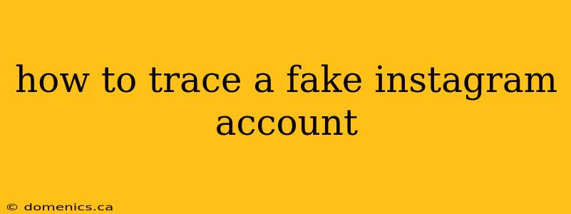 how to trace a fake instagram account