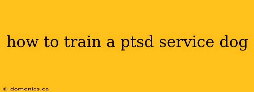 how to train a ptsd service dog