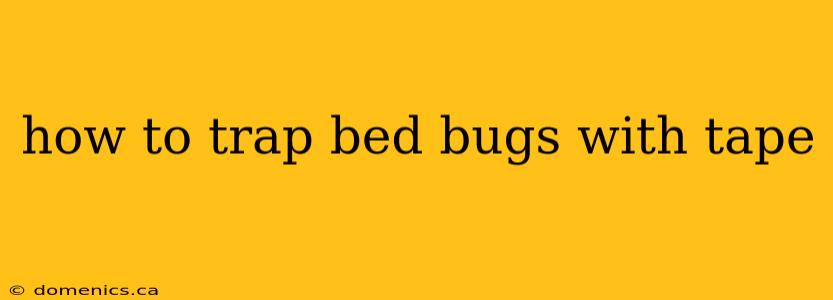 how to trap bed bugs with tape