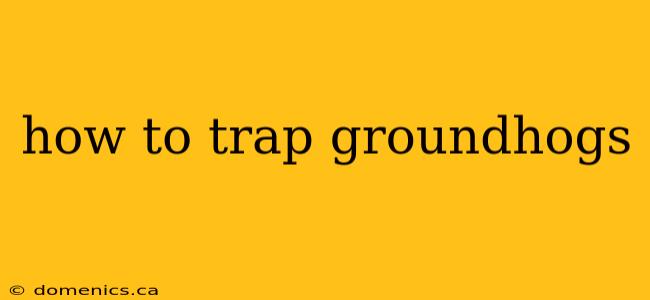 how to trap groundhogs