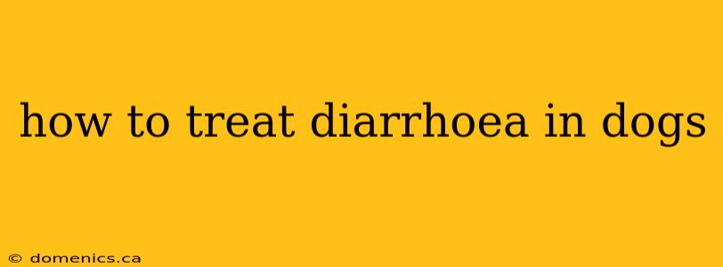 how to treat diarrhoea in dogs